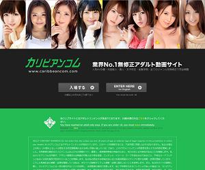 カリビアンコム入場画像